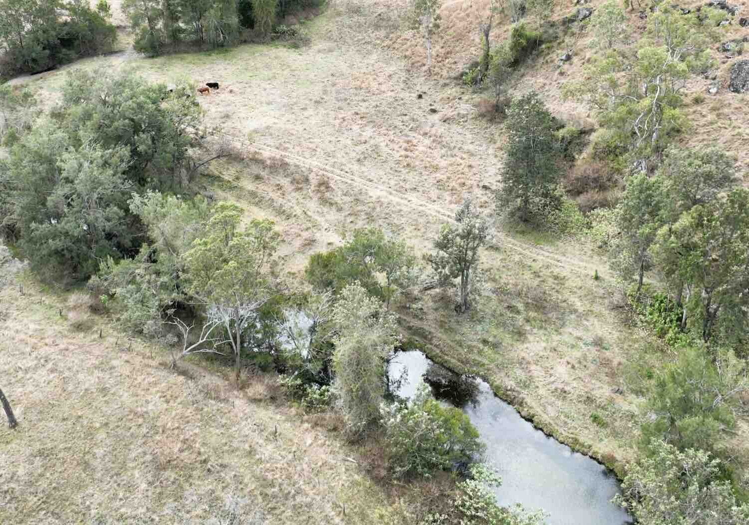 squirrel creek grazing land for sale