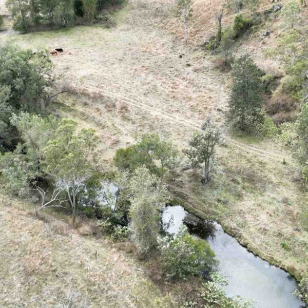 squirrel creek grazing land for sale